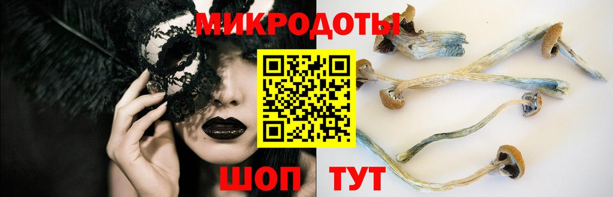 Псилоцибиновые грибы MAGIC MUSHROOMS  Вход с VPN  Псилоцибиновые грибы Psilocybe  Лыткарино 